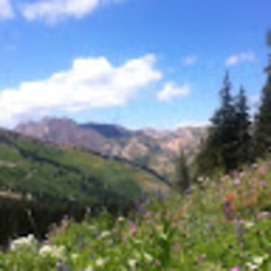 Meet your Posher, Stephen